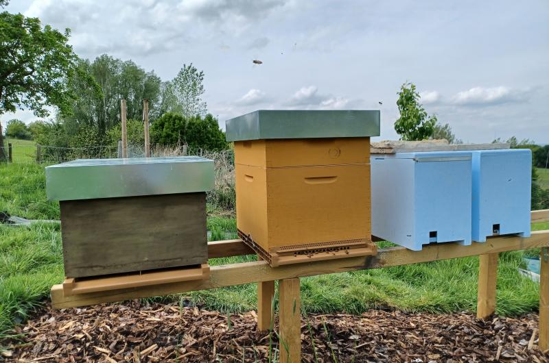 Apiculteur : Le rucher des trois petits curés - Jonathan - Bustin - produits apicoles