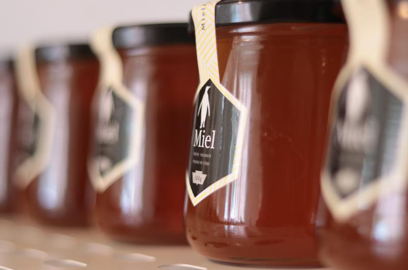 Apiculteur : Le Jardin du Manchot - Patrice - Le Rouzic - produits apicoles
