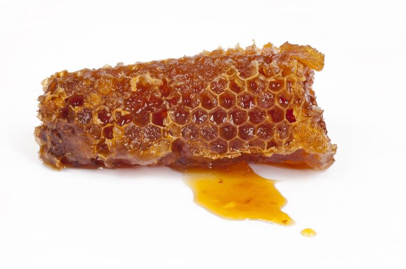 Miel en rayons - (Une) Abeille en Basse-Meuse